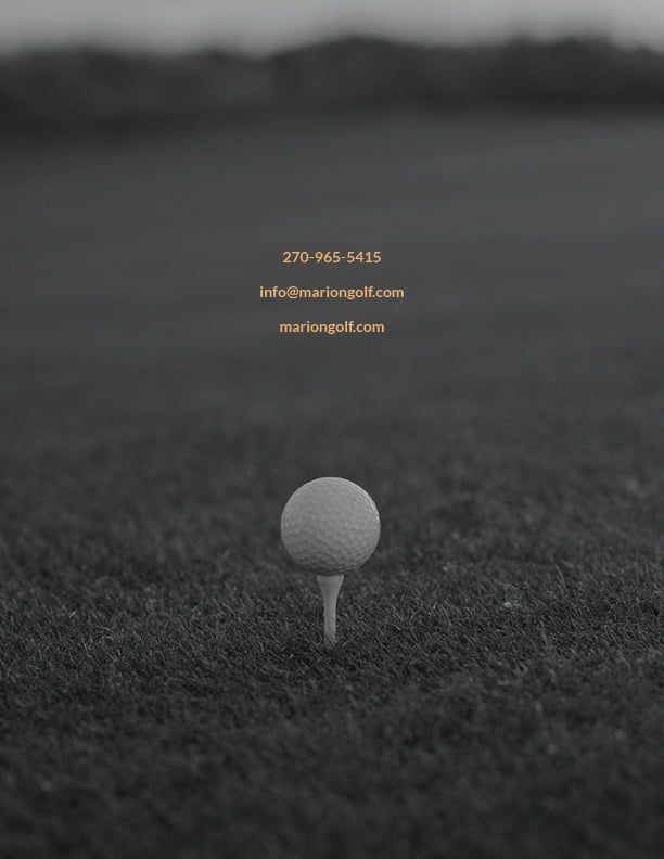 Corporate sponsorship page 24