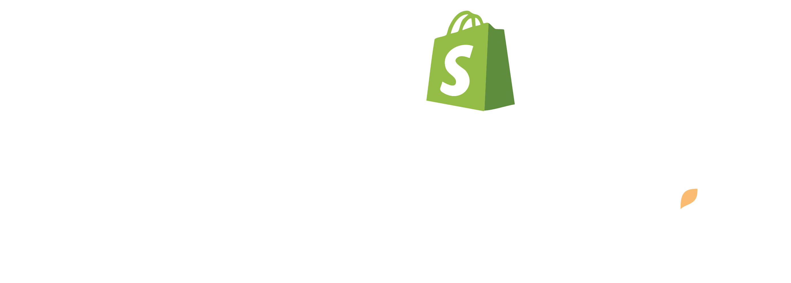 WordPress, Shopify, Squarespace, and Wix logos